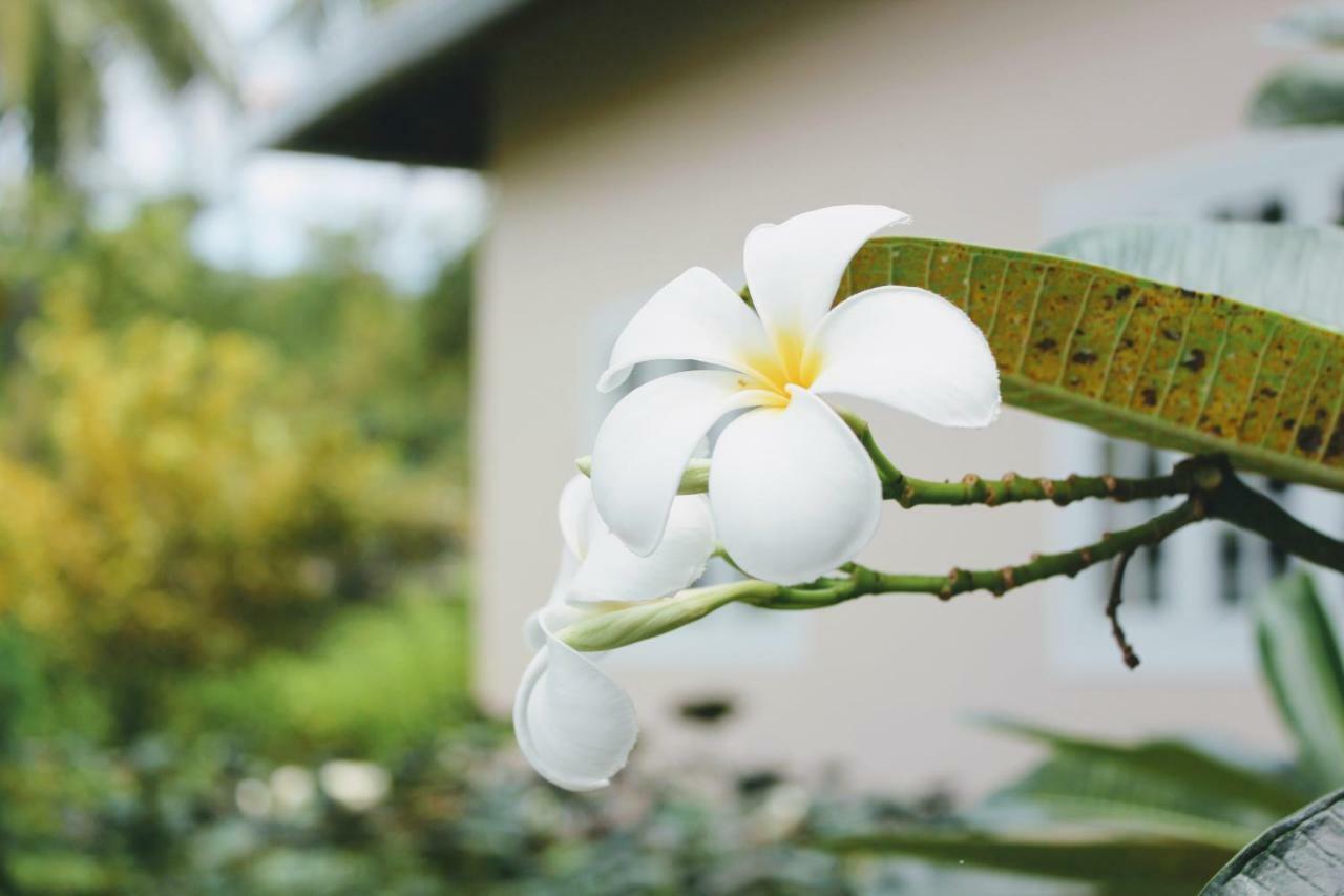 The Trang Villas Nha Trang Zewnętrze zdjęcie